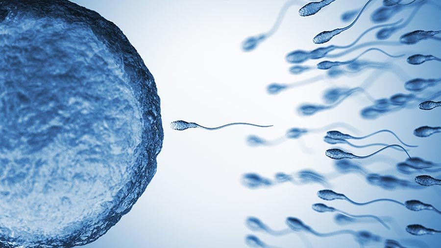 Infertility Counselling in Surat